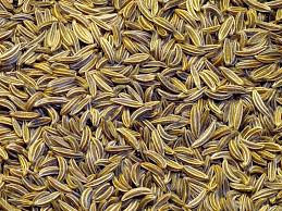 Manufacturers Exporters and Wholesale Suppliers of Cumin Seeds Jodhpur Rajasthan